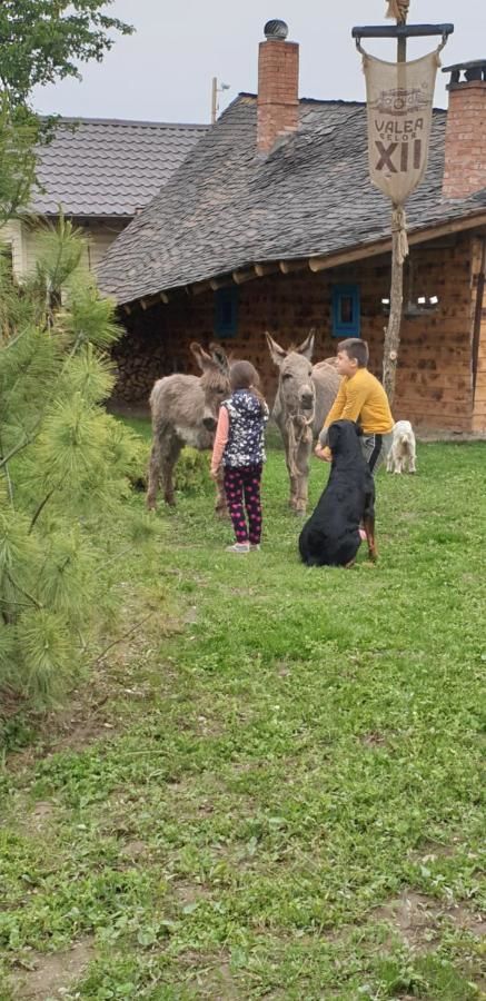 Курортные отели Valea celor Doisprezece Pîrîu Dobreni-27